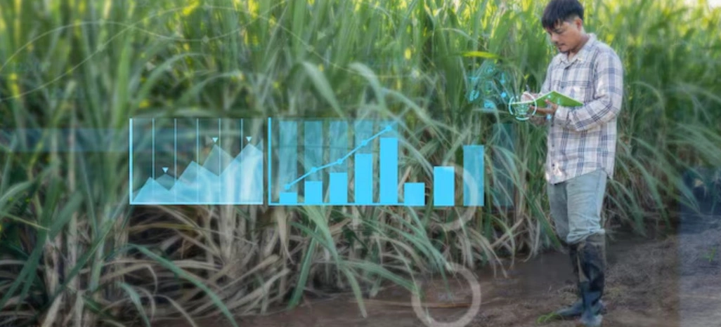 Improving Farm Profitability Through Strategic Cost Optimization Methods