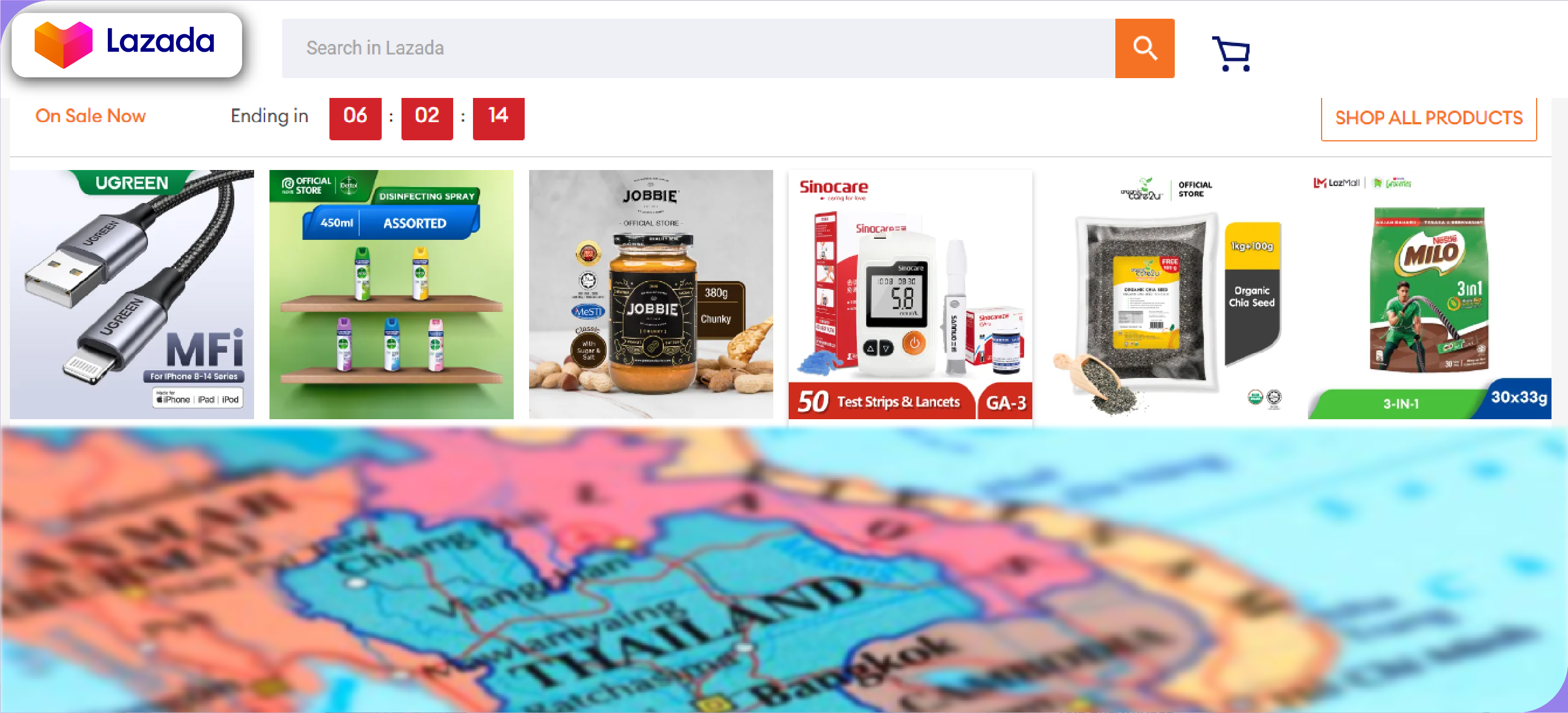 Lazada-Overview-01