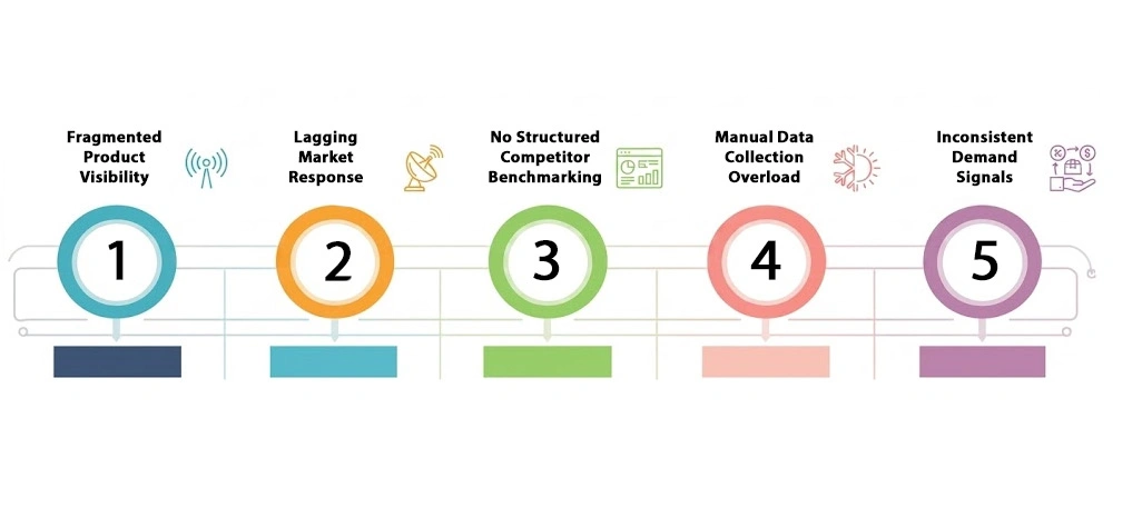 Key Challenges Faced by the Client