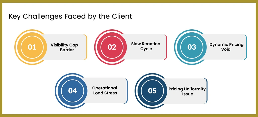Key-Challenges-Faced-by-the-Client Key-Challenges-Faced-by-the-Client