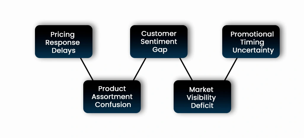 Key Challenges Faced by the Client