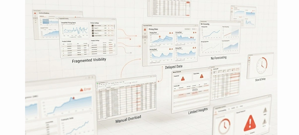 Key Challenges Faced by the Client