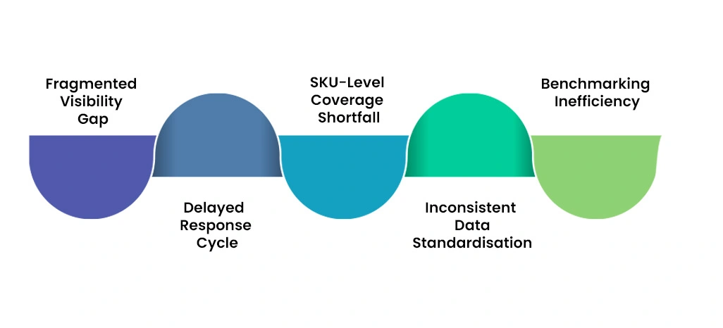 Key Challenges Faced by the Client