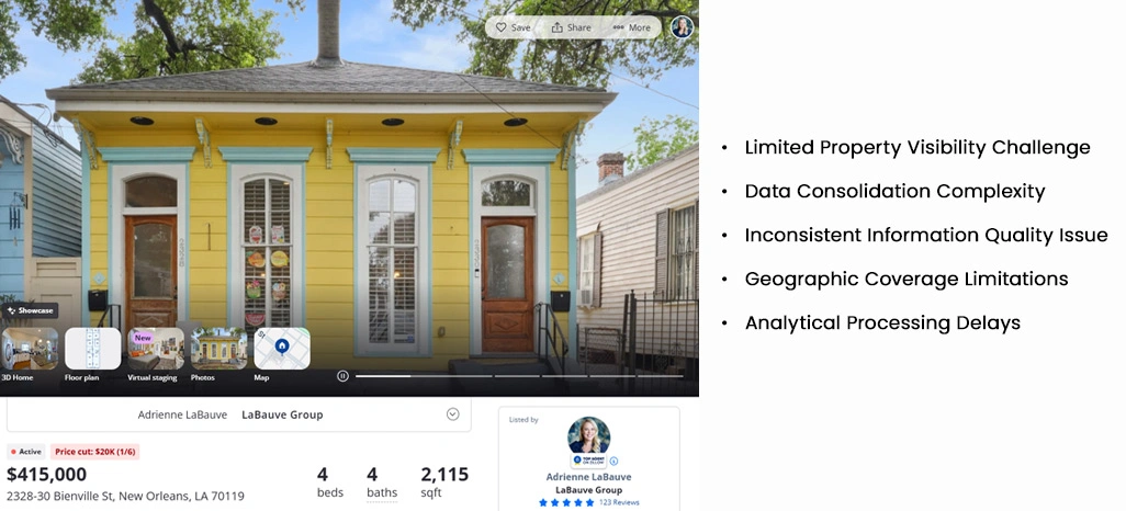 Key Challenges Faced by the Client